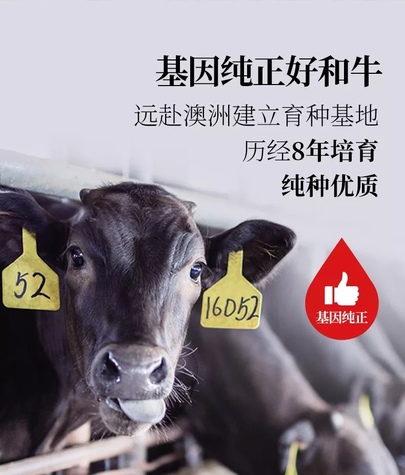 8188cc威尼斯(中国)最新版官网